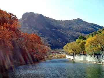 澳门二四六天天彩图库，南京广告节